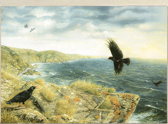 Image of The Choughs Return, towards Cadgwith, The Lizard, Cornwall